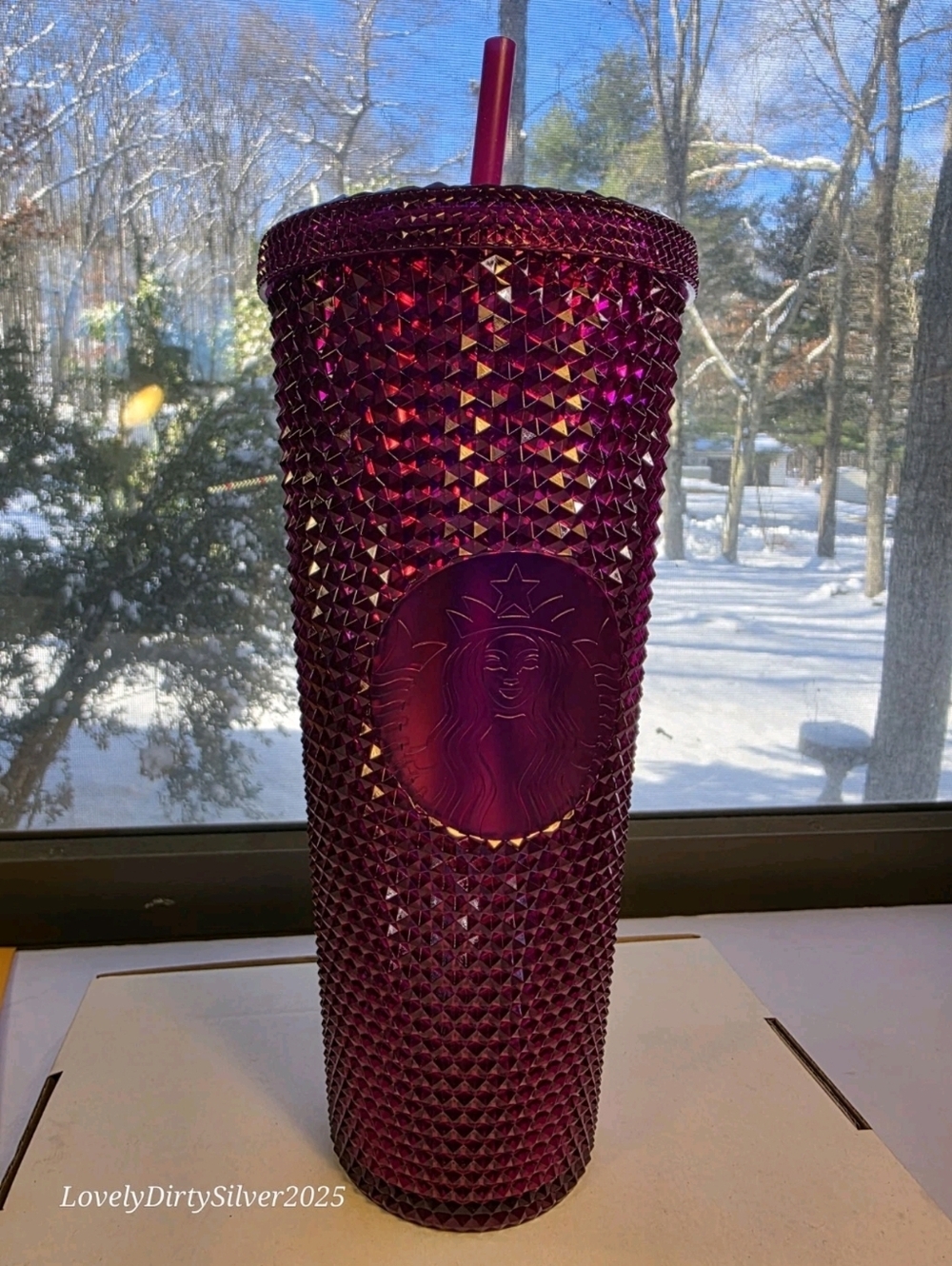 Starbucks Fall 2022 Berry Purple Studded Tumbler Venti Cold Cup 24oz / 710mL NEW
